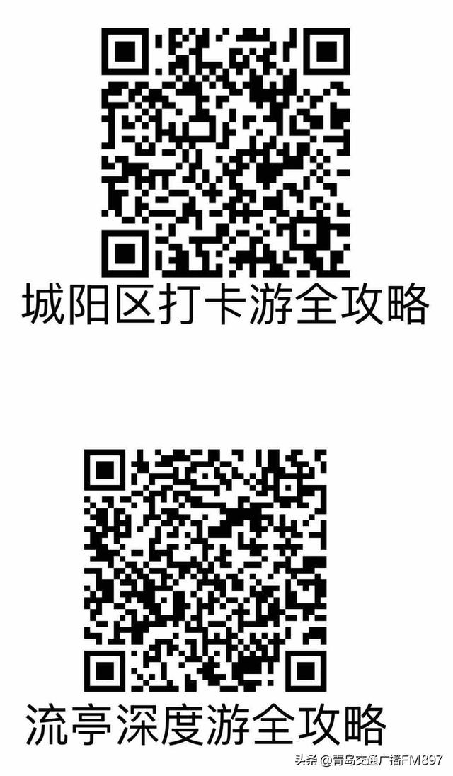 本周末两场大型音乐活动在青岛举办！乐迷专属攻略来了→