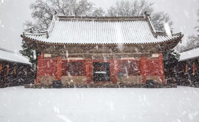 黄河!天鹅!壁画!美食!四条主题线路打开初冬的N种游玩方式