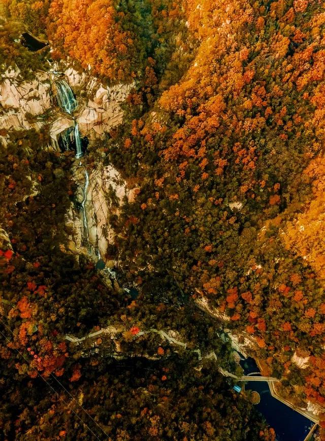 临沂这抹红，醉了秋日山水