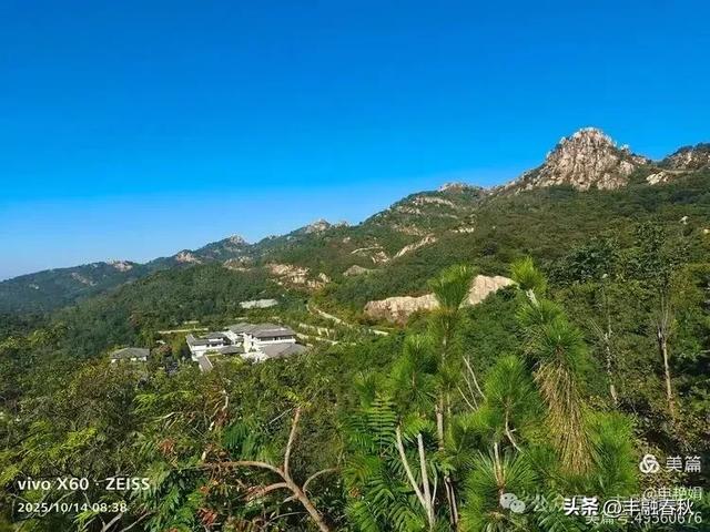 浮山漫记：藏在青岛城央的自然诗篇｜申艳娟