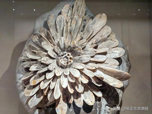 想去新疆旅游看过来，希望能帮到你！