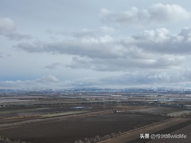 新疆昌吉头屯河公园