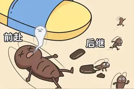 九成人不知“蟑螂的天敌”是啥：学会妙法子，蟑螂“不敢”来图片