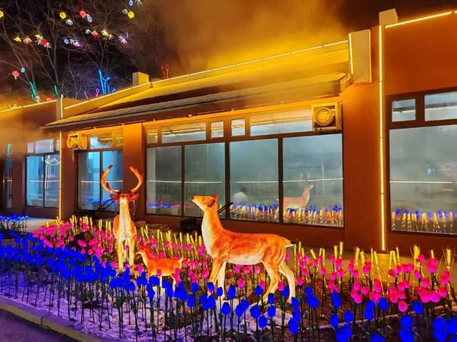 元宵去长白山！泡仙人桥暖汤，赏花灯团圆夜