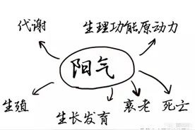扶阳祛病三步走：第一纳阳入肾，第二助阳化气，第三固阳敛阳图片