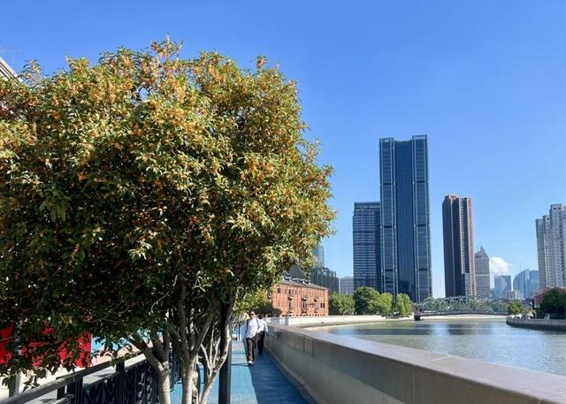 叮！你有一份上海秋日漫步地图待解锁→