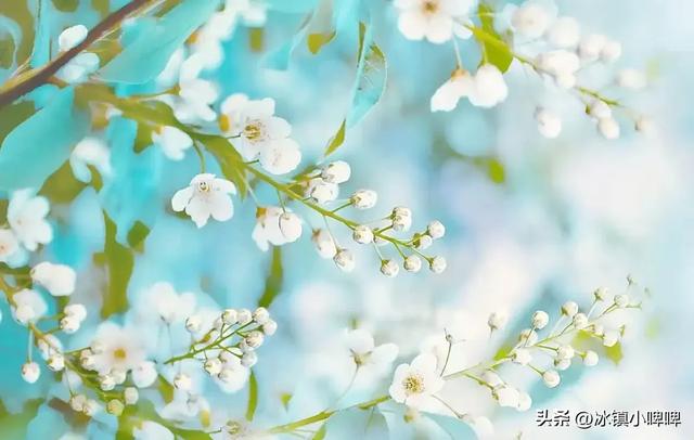 男人冷战不低头？三招让他低头求饶，聪明女人都这么做