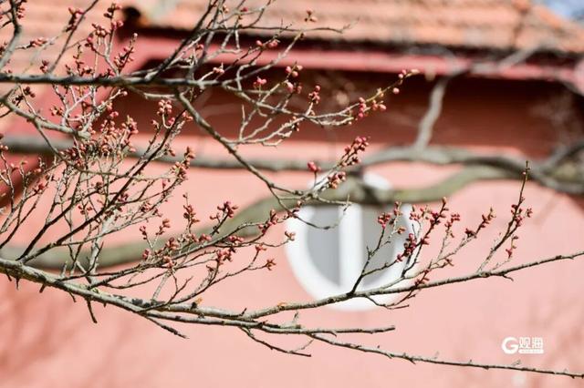 市南的2026，应该这样过...