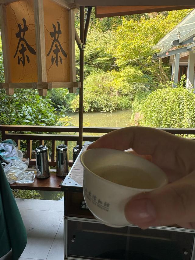 杭州小众游玩路线,茶叶博物馆和浙江美术馆半日游,建议收藏