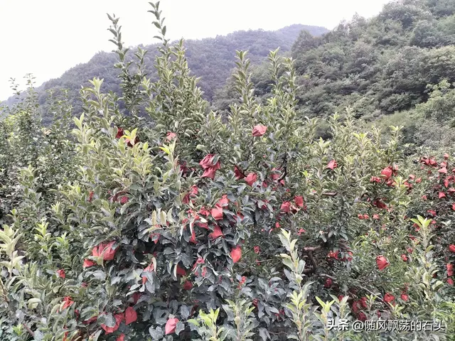 我的小众线路浓缩了太行山最美的风景