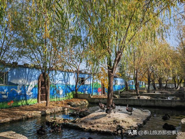 泰安：城西有一个儿童乐园，曾是热门亲子游目的地，现在免费游览