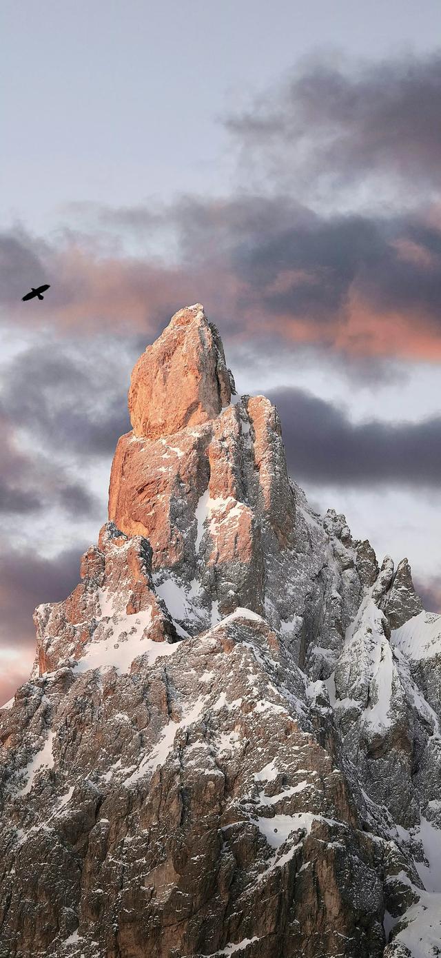 今日份的壁纸已送达