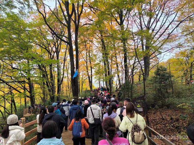 排队游览光雾山