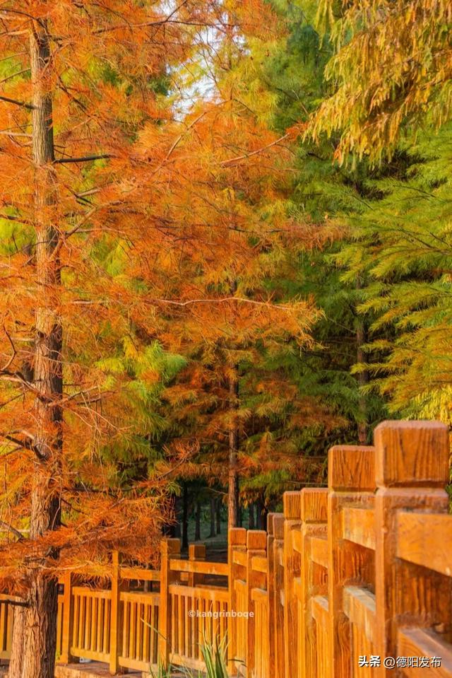 最新实拍!德阳东湖山都美成啥样了啊?太夸张了