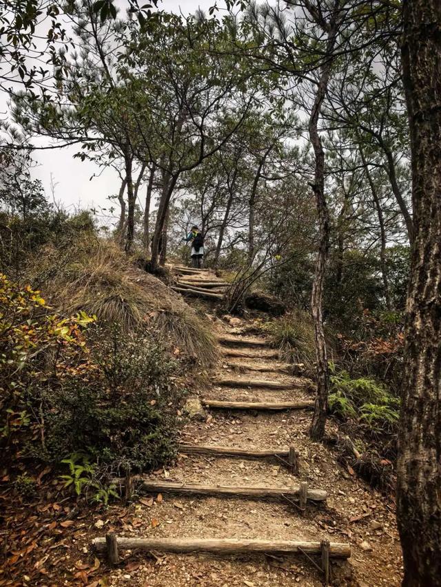 为什么越来越多的人喜欢爬山了？