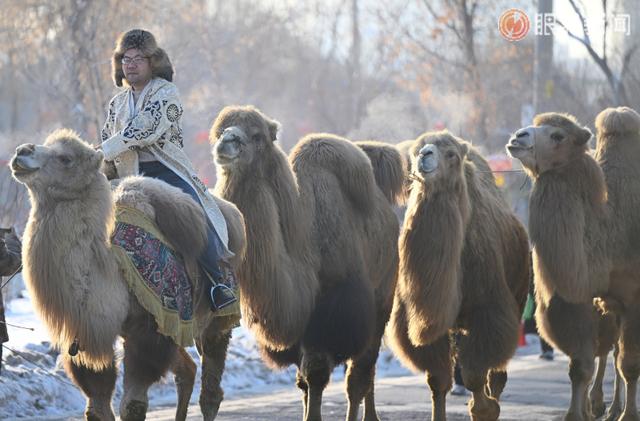 元旦去哪儿？乌鲁木齐各大公园“新年菜单”已备好