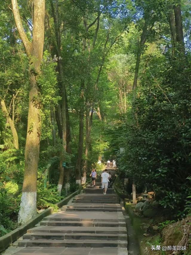 深秋想赴一场“森”系约会？来邛崃就够了！