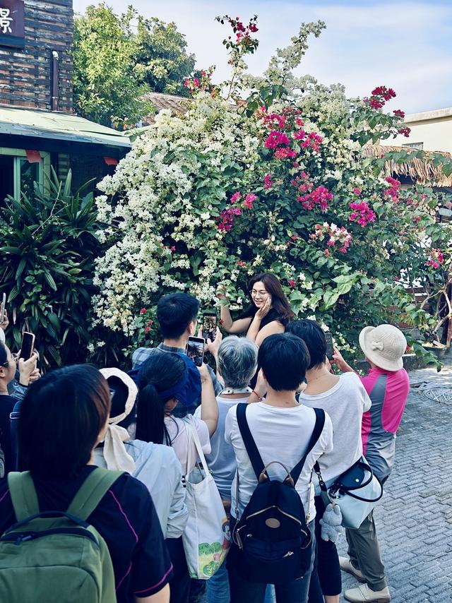 成为会玩、会拍的大鹏生态传播官 ，这场活动带你解锁新身份