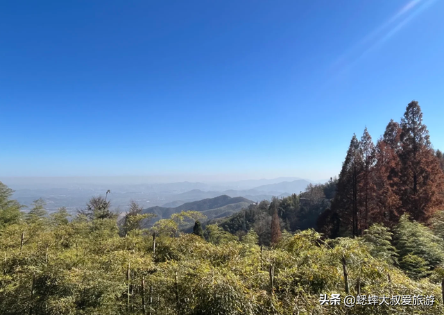 快来，浙江第三届莫干山红枫季开始了，可轻松来趟浪漫“枫”旅！