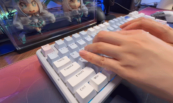 电竞少女风！高性价比Gasket结构三模机械键盘！雷柏V700 DIY-98！