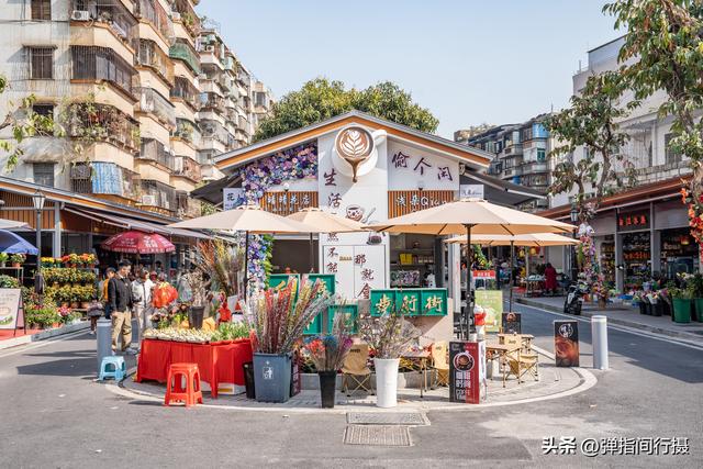 斥资500万！佛山30年花鸟老街，摇身一变成文艺新地标