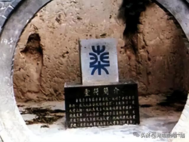 免门票！有优惠！新疆人的专属福利来啦~