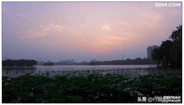 山东行游影记（13）—济南大明湖（二）