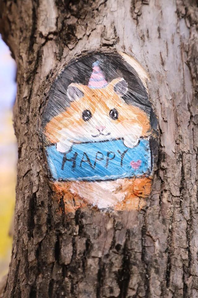 什么？日照这里有一群“小精灵”？！