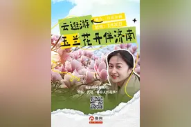 玉兰花开伴济南，春分至，一起打卡春日“顶流”图片