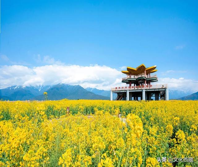 西藏2地入选2025中国最美县域榜单！为何是它们？