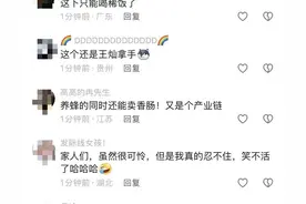 00后小伙回家跟老爸养蜂，不料嘴巴被蜜蜂蜇成“香肠嘴”图片