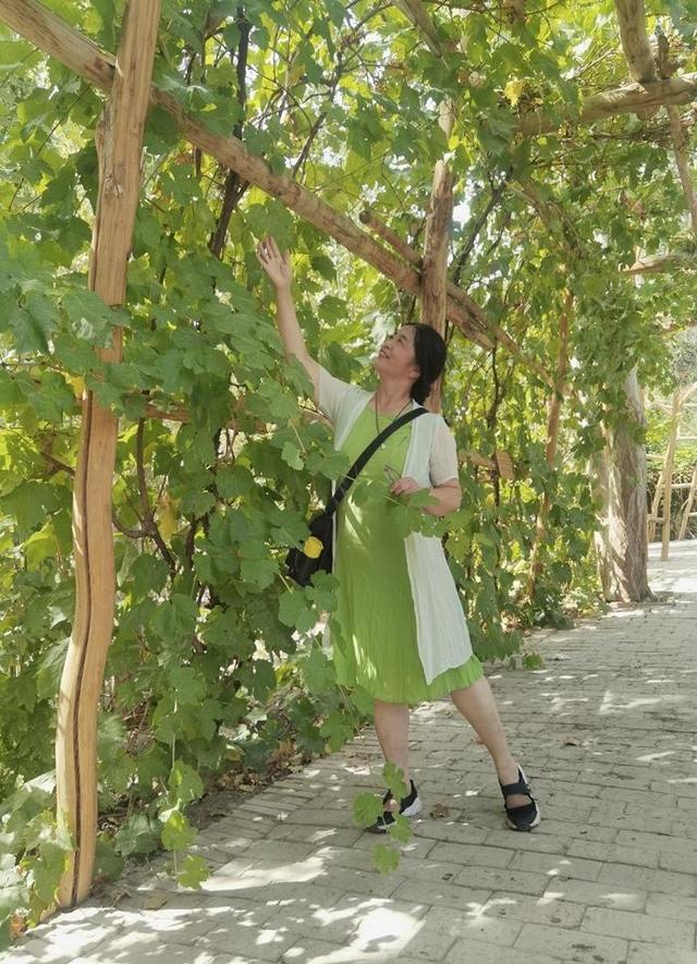 游新疆吐鲁番的坎儿井和葡萄沟