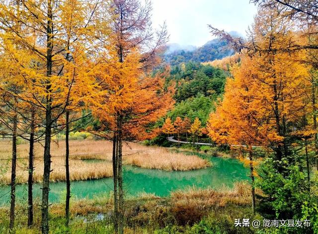 天下第一池，暗送秋波，美卷了！