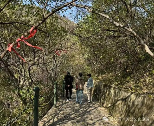 秋深景更美!运城最绚烂时刻到了!