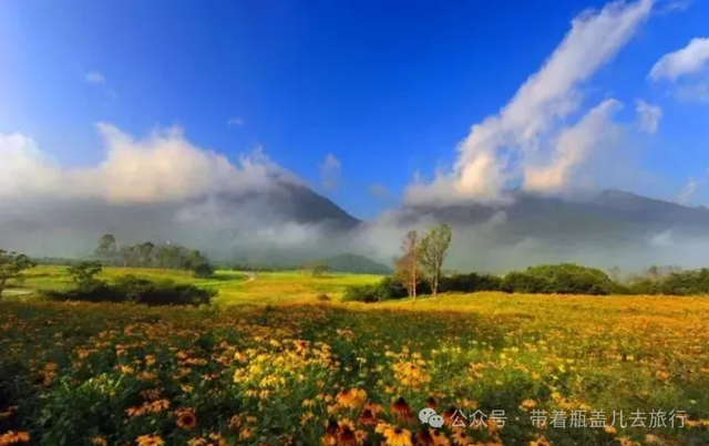 重庆最大乡镇易主，新霸主面积超过主城两区之和，4A景区美如仙境