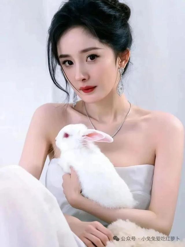 好羡慕大幂幂那只兔子啊