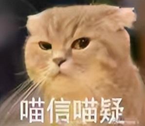 来上柱香吧，Windows 10在今天彻底死了
