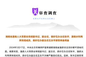 湖南澧县人大常委会党组副书记、县砂石办主任张华，澧县水利局原党组成员、县砂石办副主任王永平被查图片