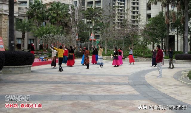 逐个数一数北海现在颇有名气的越冬旅居“候鸟乐园”