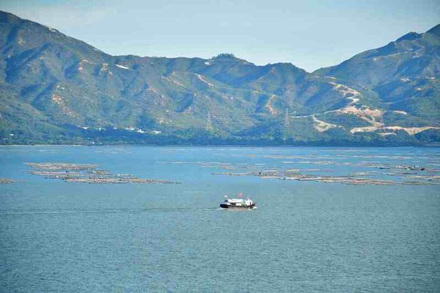 深活指南 | 重阳登高，收藏来自深圳山海的秋日问候​~