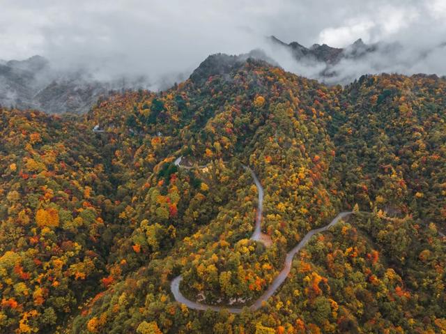住下来，才懂秦岭的秋：留坝小城5日慢行指南