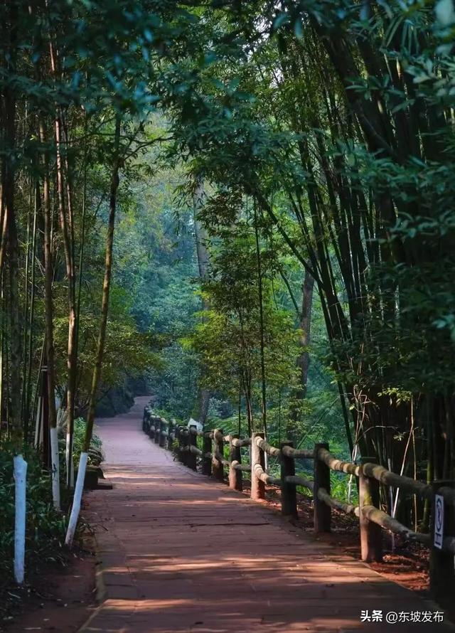 本周“寻爱地图”抢先看：在中岩邂逅初恋 于汉阳书写烟火