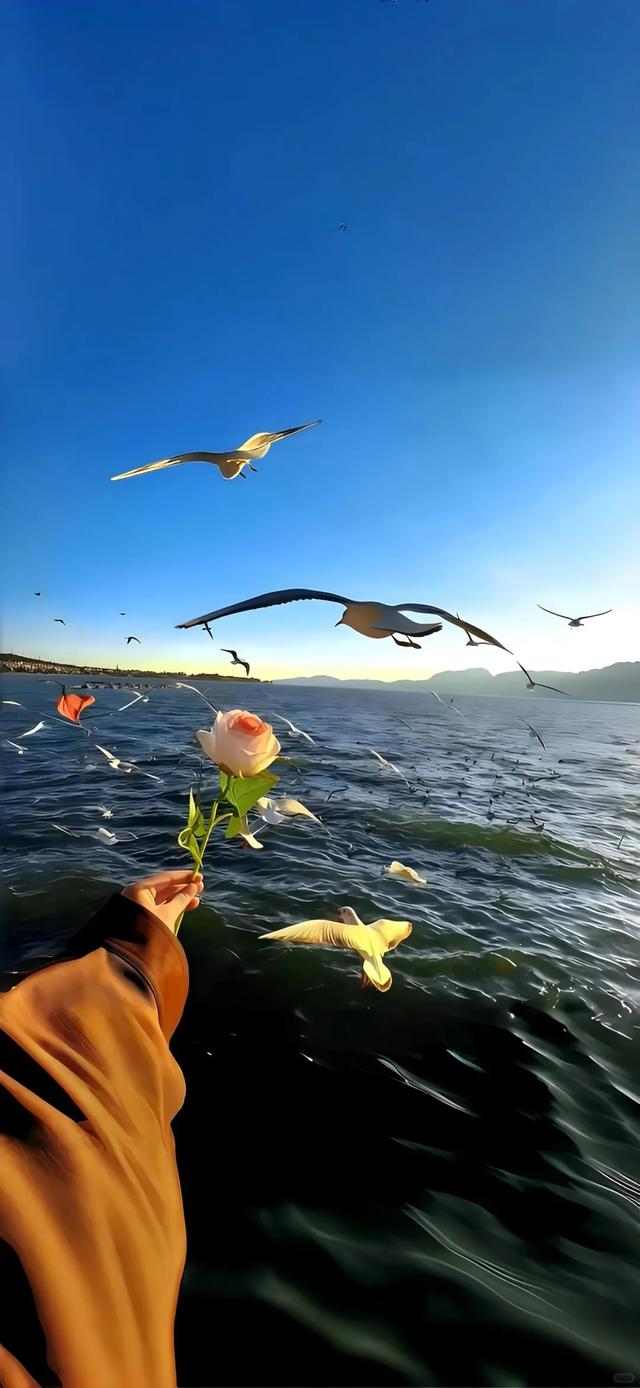 如何让手机壁纸彰显独特品味？这些壁纸给你答案 ！！