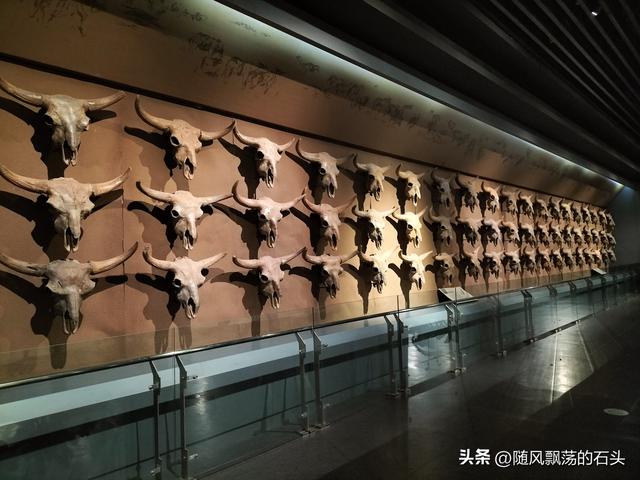 大庆博物馆的镇馆之宝可能是它， 而不是猛犸象