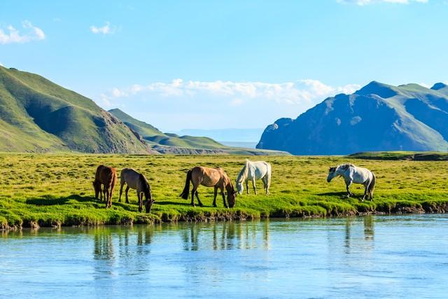 属马的你	，今年最大的难题，不是事，而是“人”！
