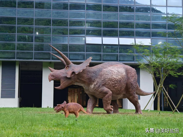 想去！华大时空中心遛娃攻略来啦！