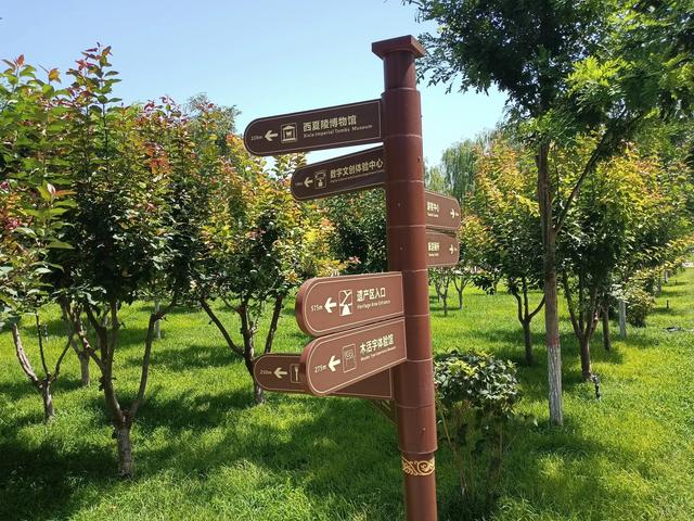 齐鲁人银川行记：探秘西夏王陵，触摸历史的脉搏