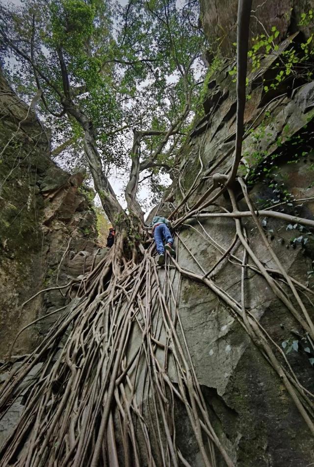 厦门户外运动热门打卡点洞房谷，全程3.5公里，这是原生态的路线