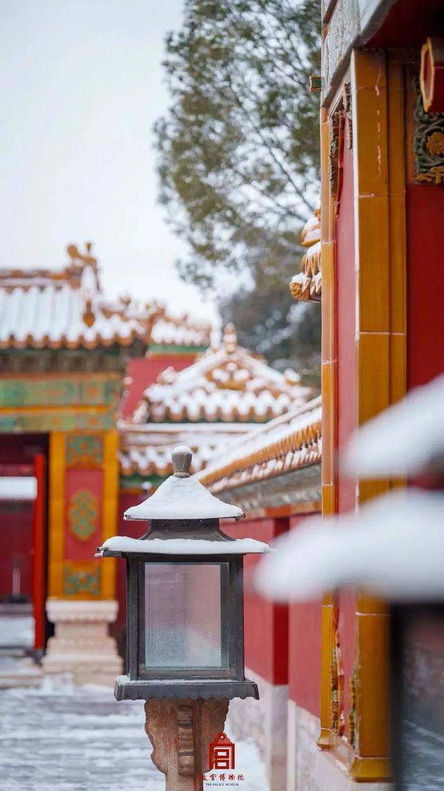 雪落紫禁城！2026北京初雪，六百年故宫美回大明风华