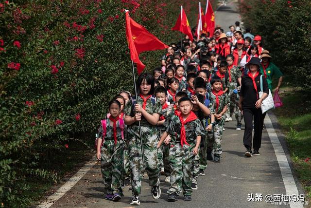 研学项目四大核心弊端与避坑指南：让每一分钱都花在刀刃上
